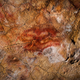 Illustration for article titled Europes earliest cave art may be the work of Neandertals, not humans